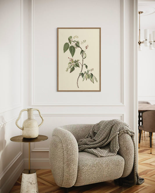 The Collector´s Nandina