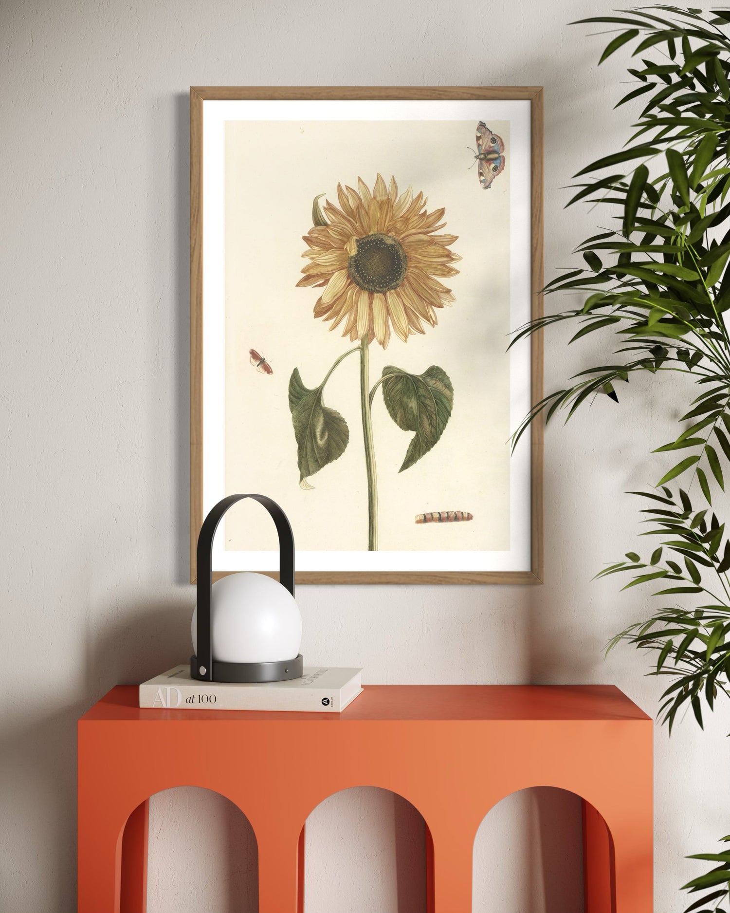 The Botanical Garden Collection