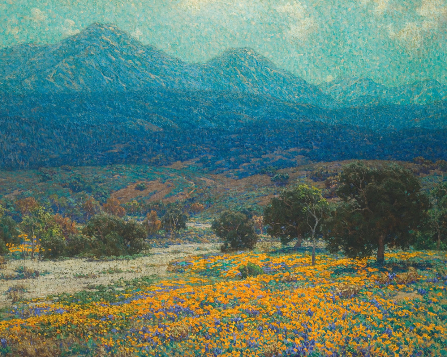 California Poppy Field