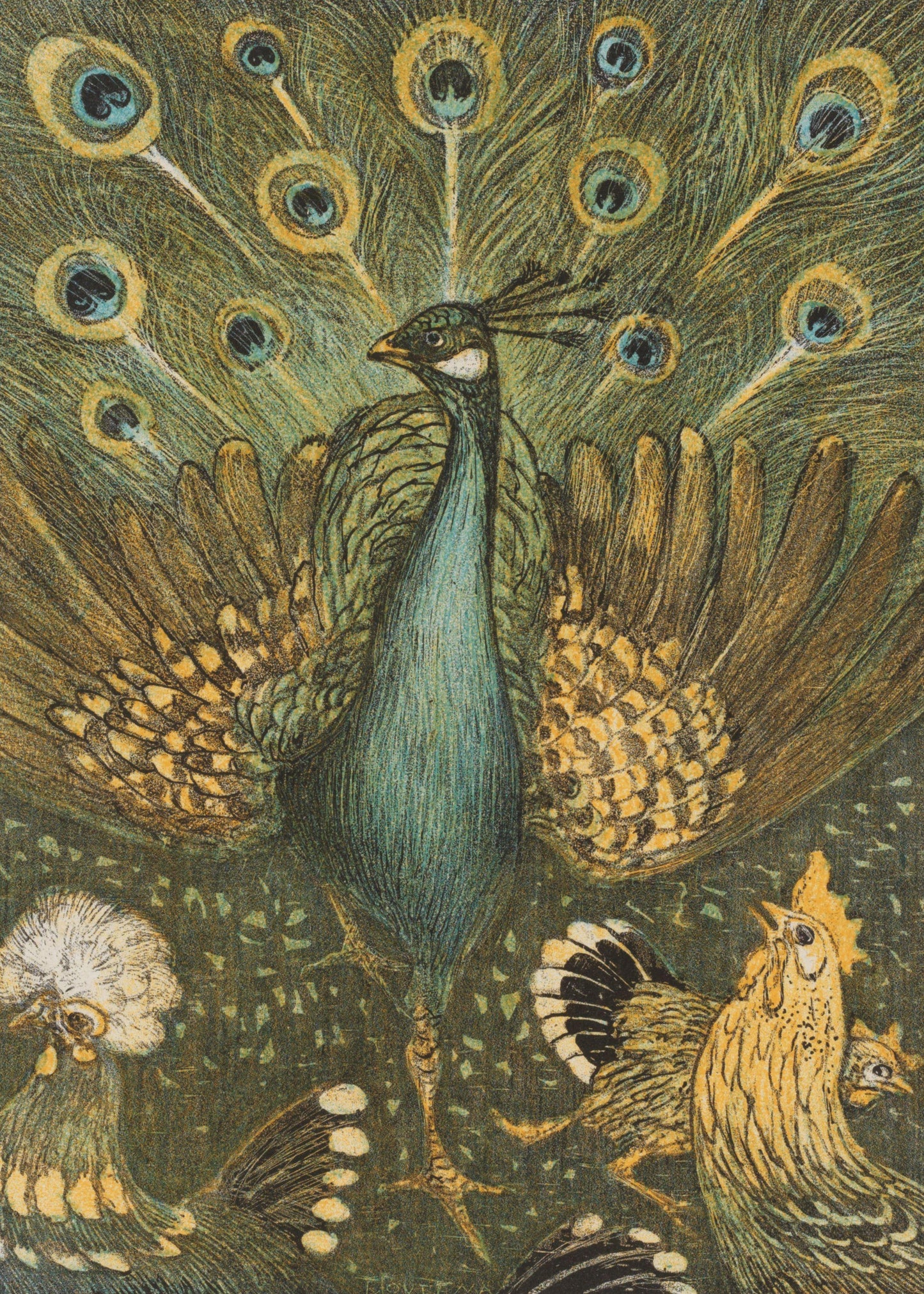 The Peacock