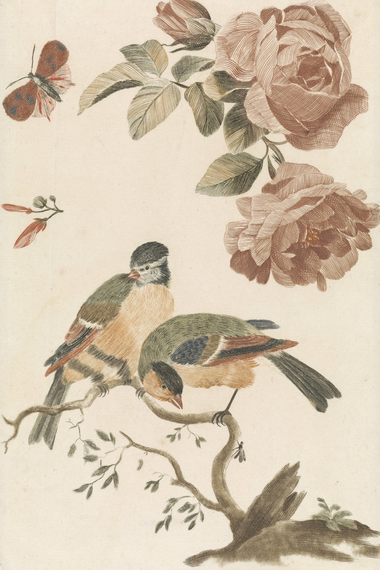 Songbirds & Roses
