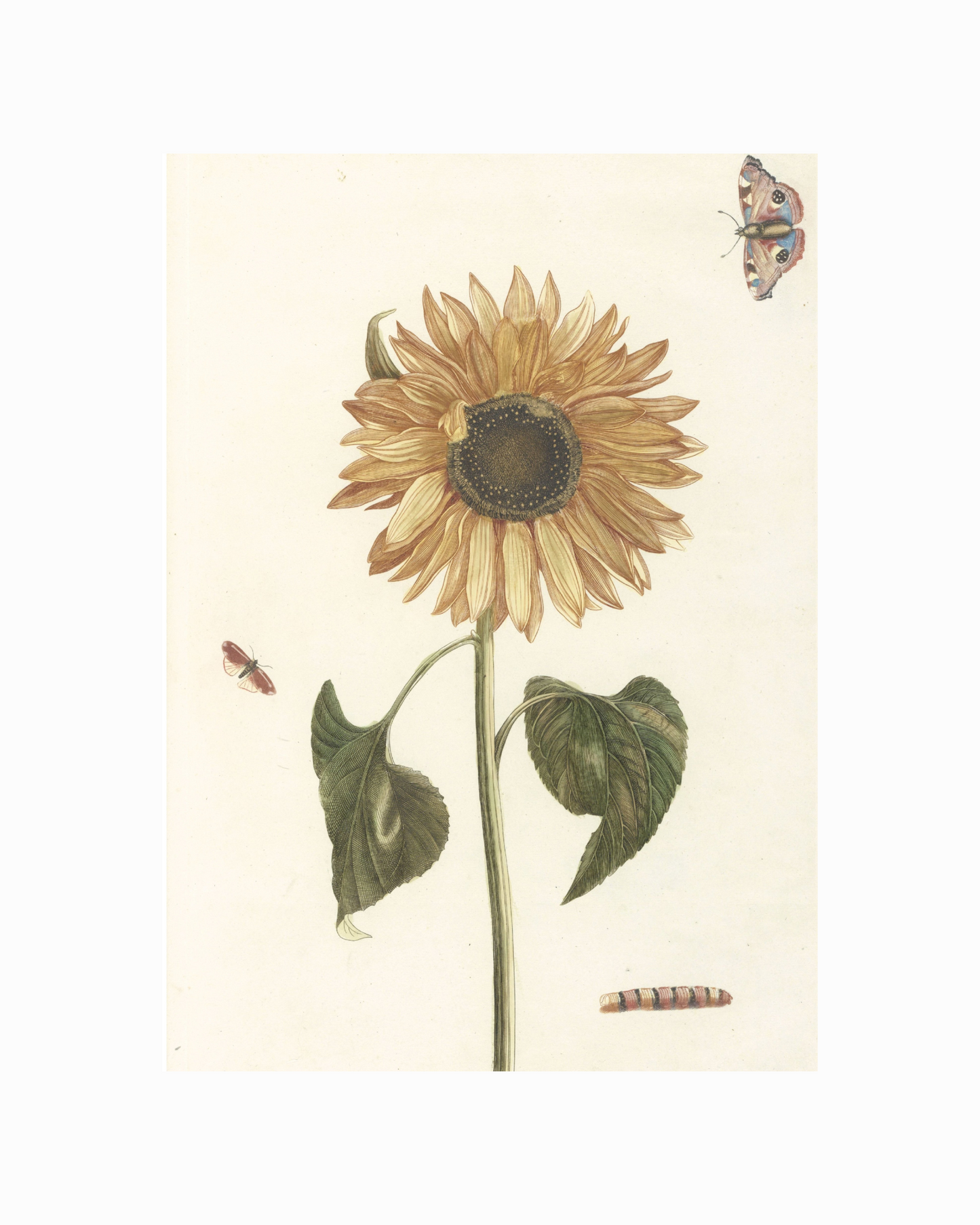 3 Art Print Set - The Chateau´s Garden