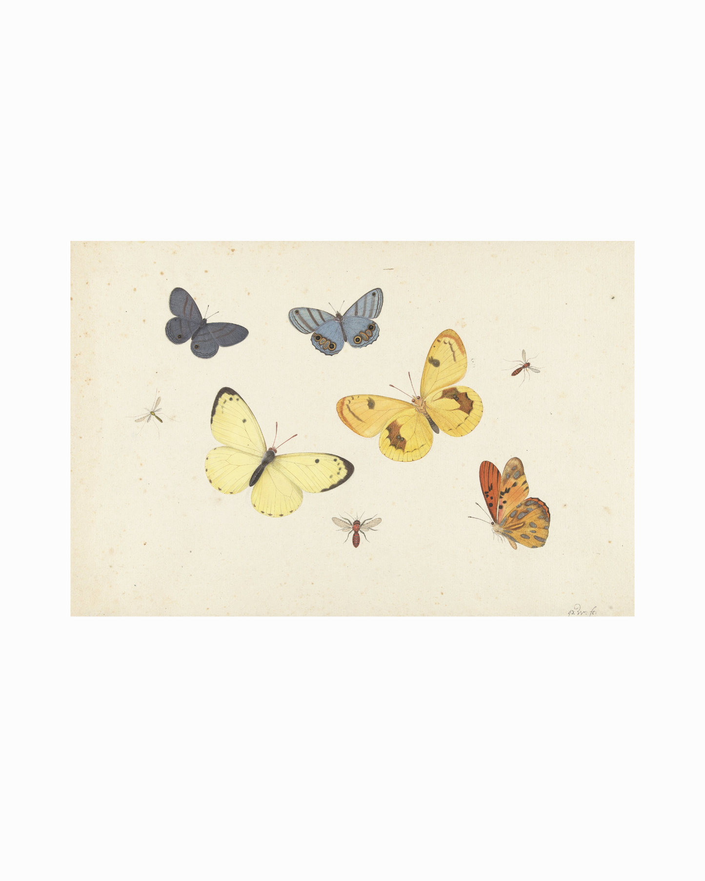 2 Art Print Set - The Chateau´s Garden