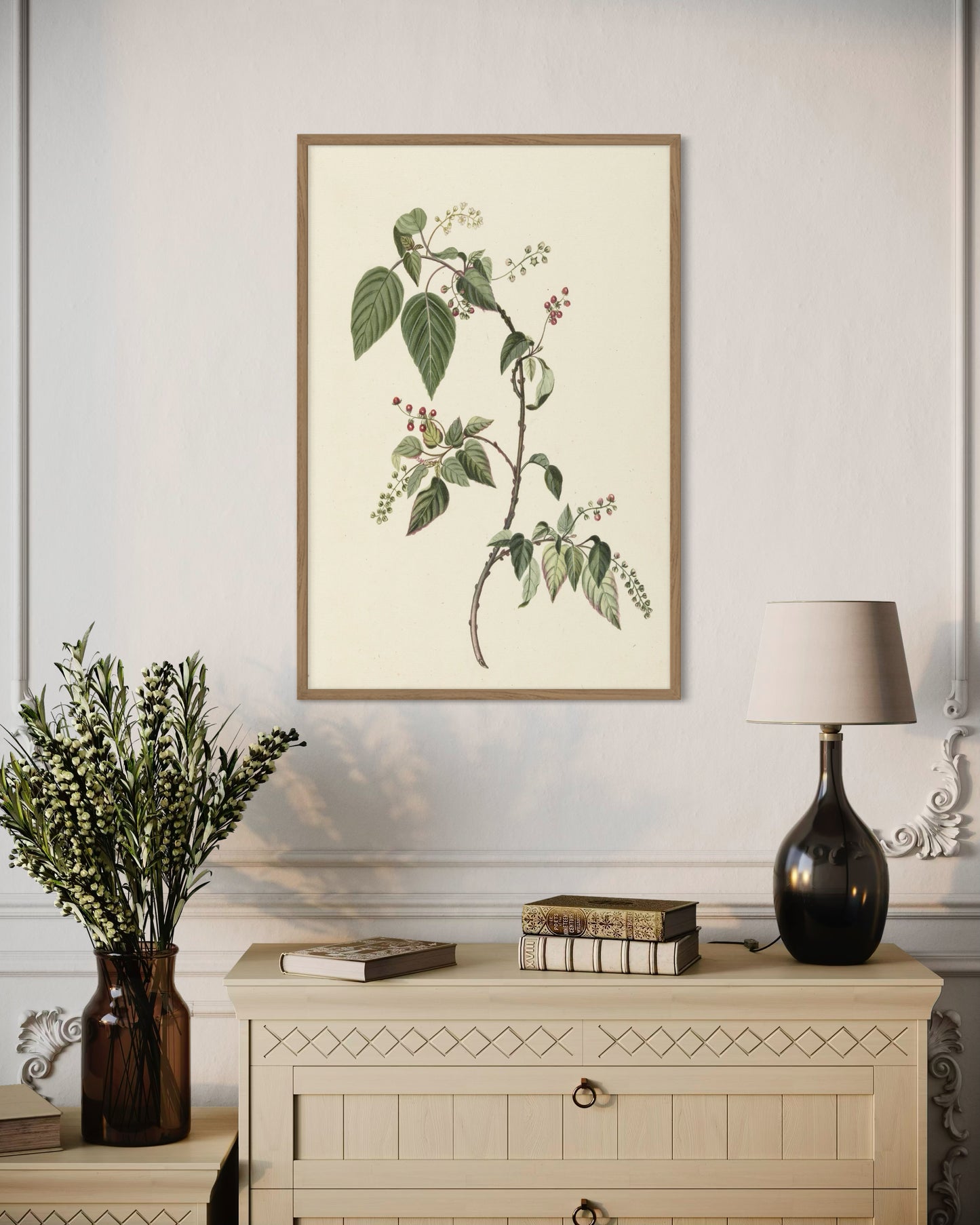 The Collector´s Nandina