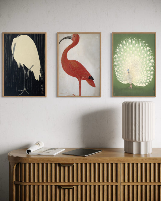 3 Art Print Set - The Bird Collection