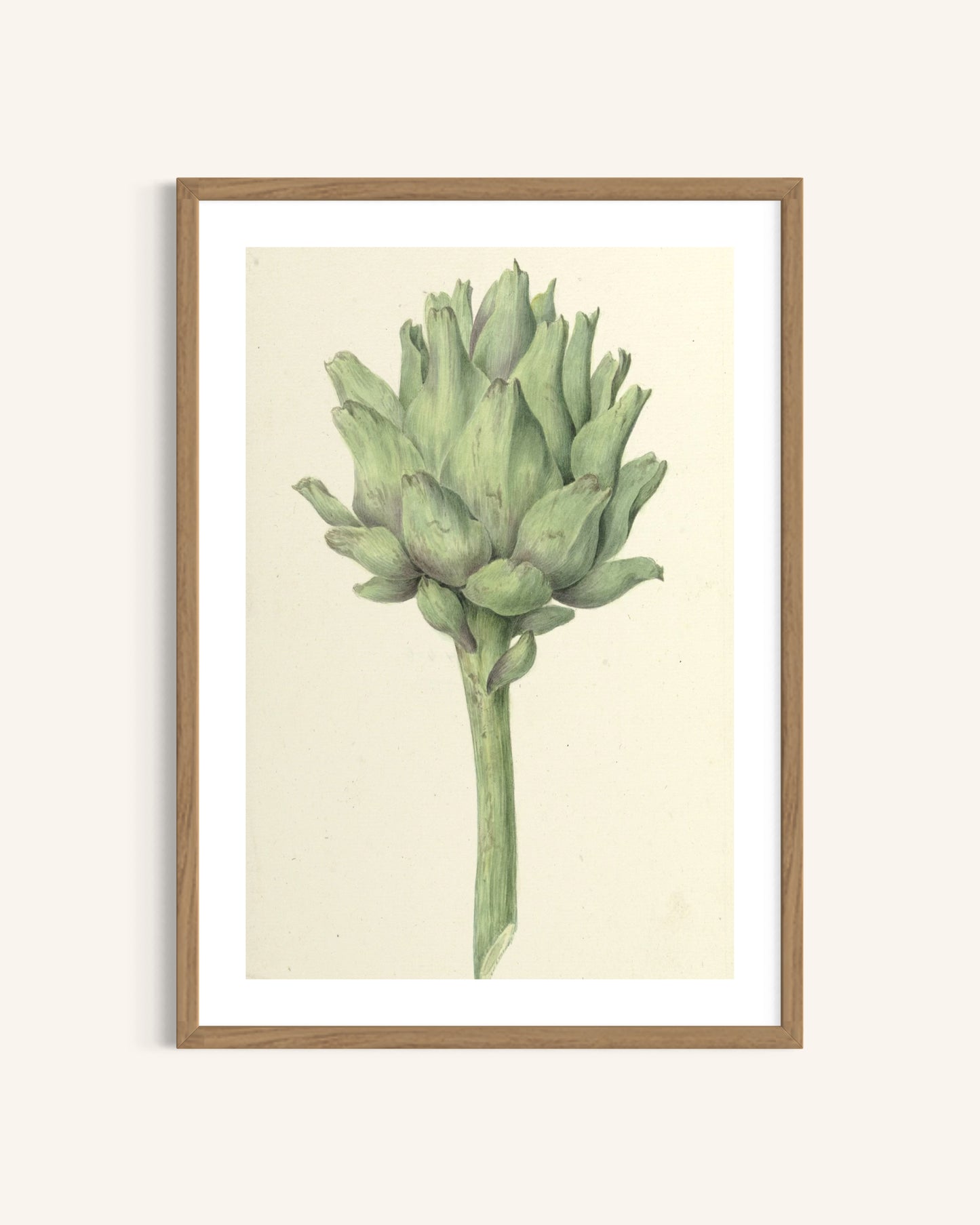 The Elegant Artichoke