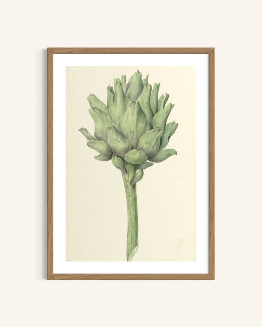 The Elegant Artichoke