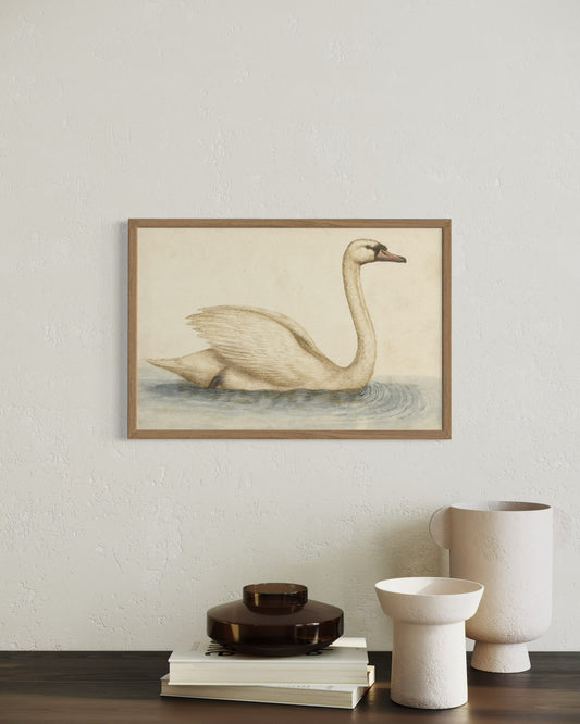 The Graceful Swan