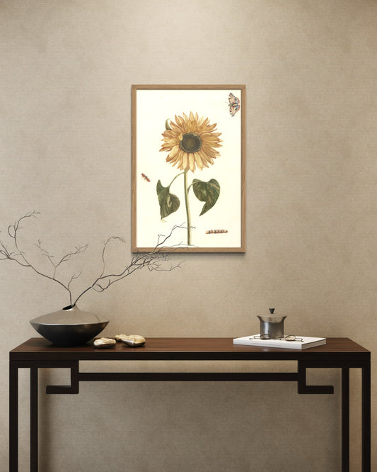 The Sunflower