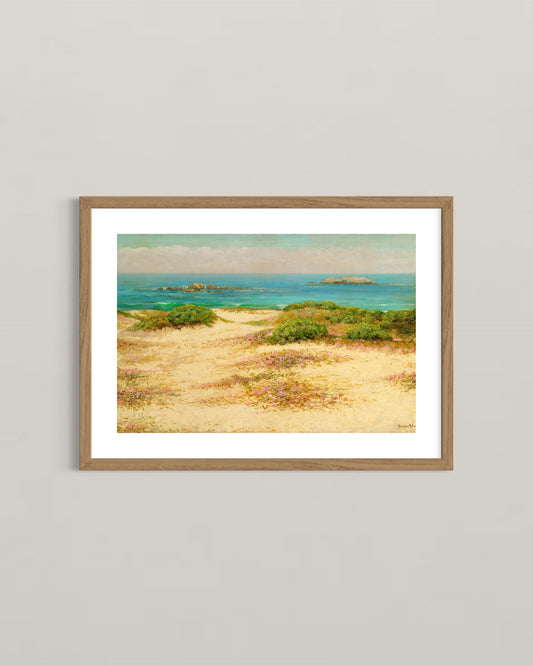 Monterey Coast: 17 Mile Drive