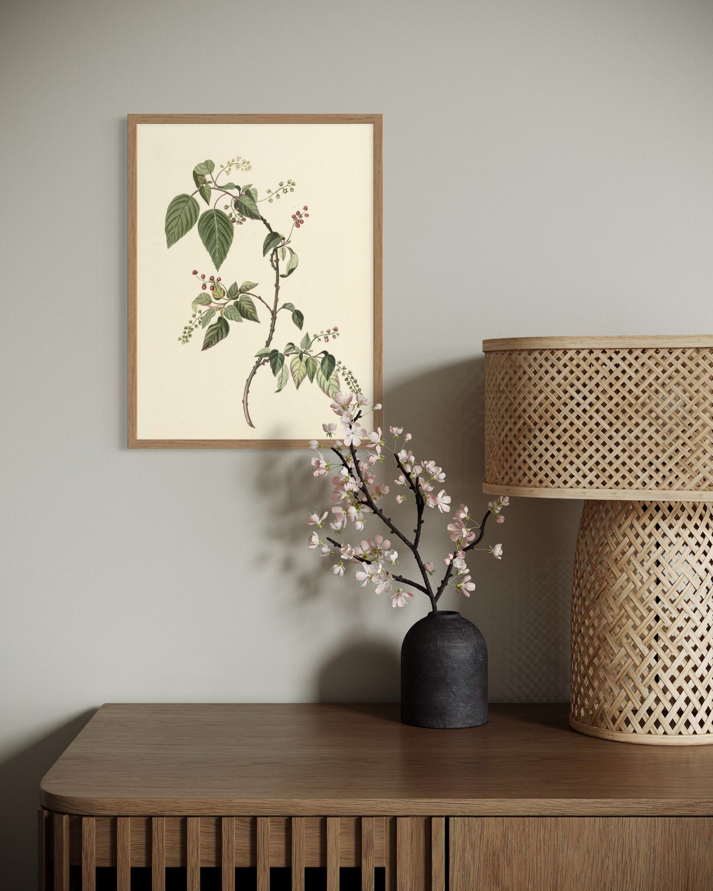 The Collector’s Nandina