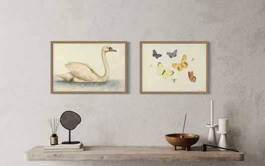 2 Art Print Set - The Chateau´s Garden