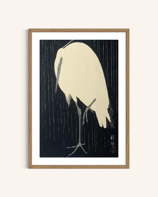 2 Art Print Set - The Bird Collection