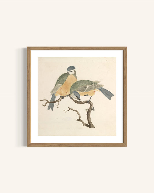 Blue Songbirds on a Branch