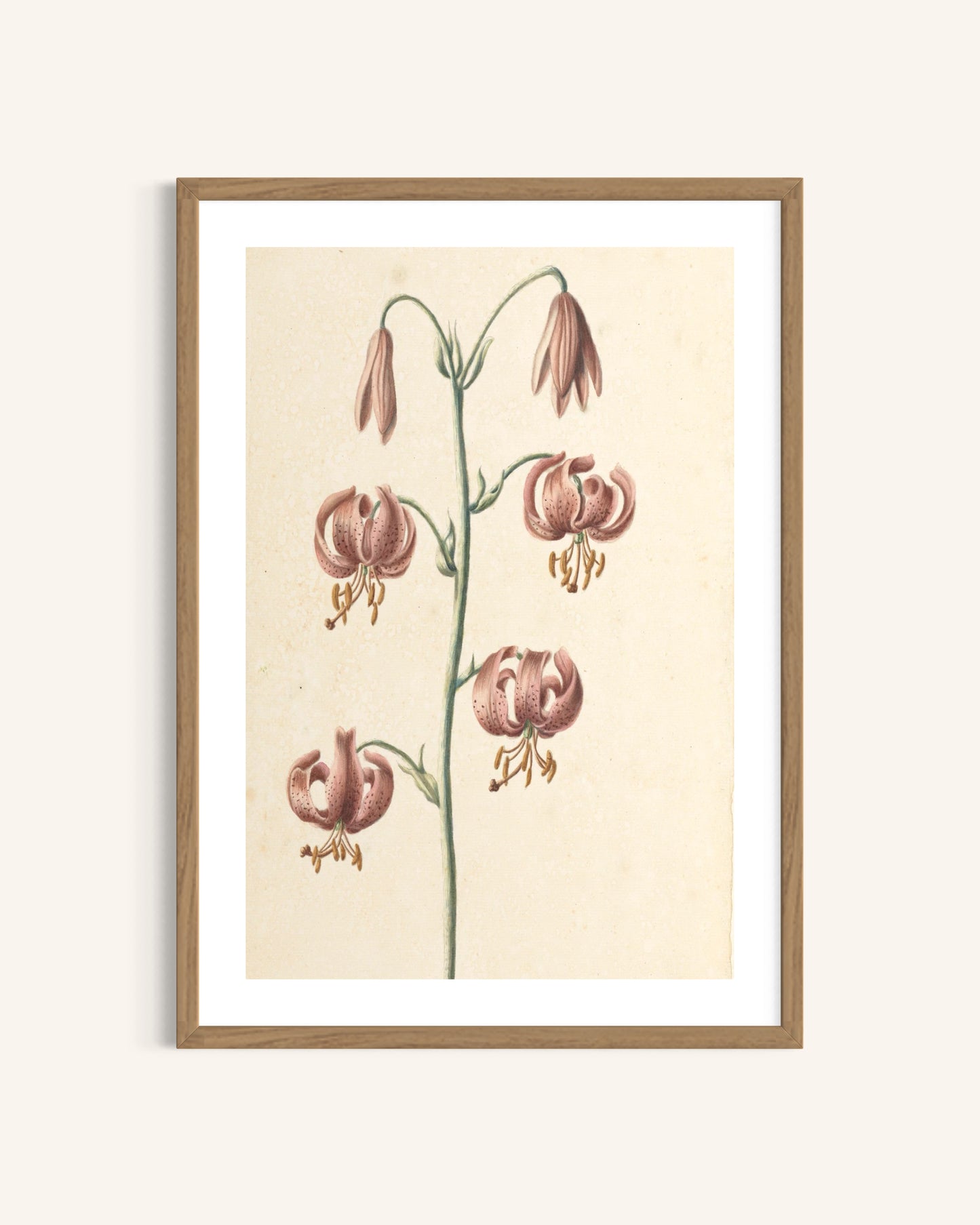 3 Art Print Set - The Botanical Garden
