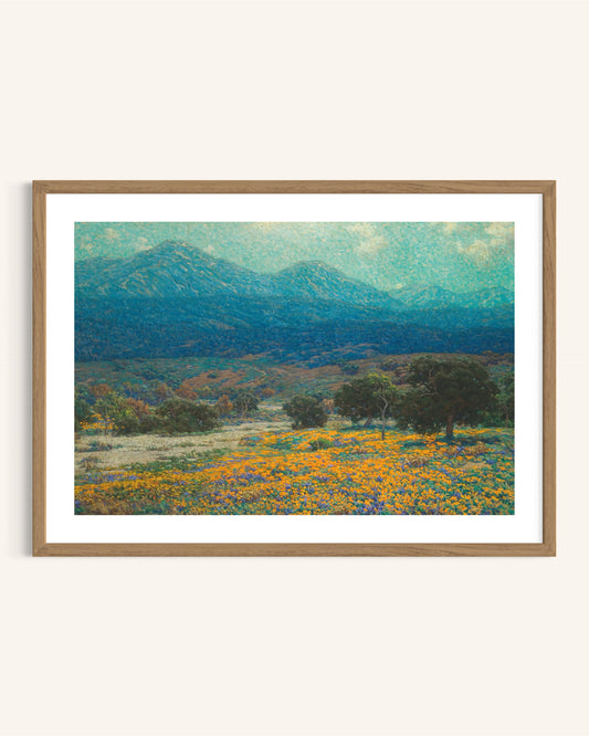 California Poppy Field