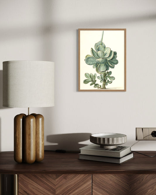 The Serene Succulent