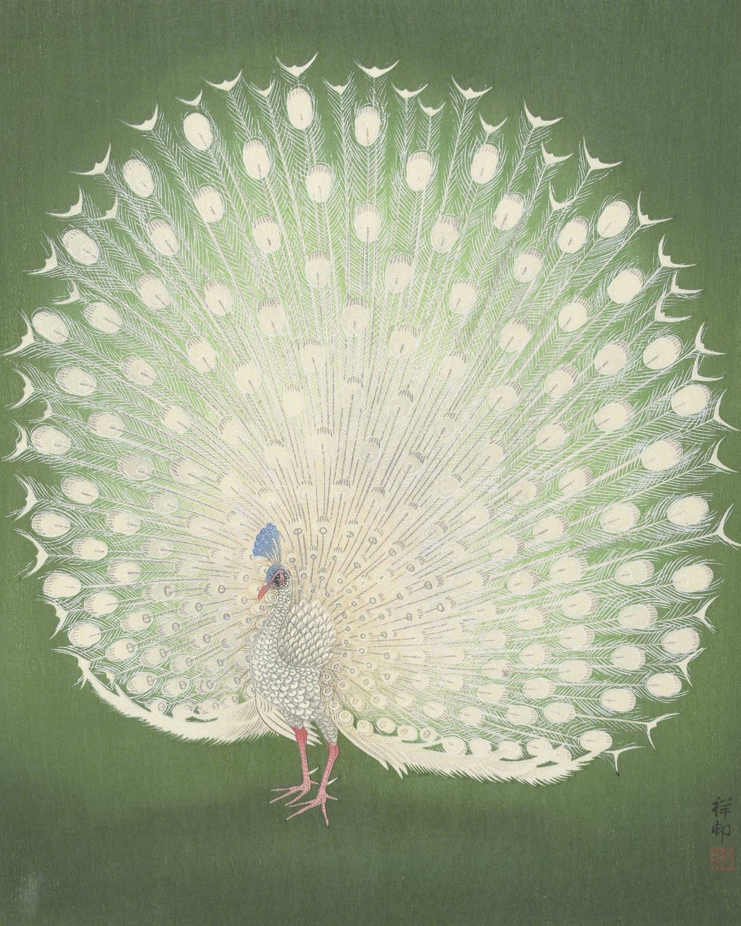 3 Art Print Set - The Bird Collection