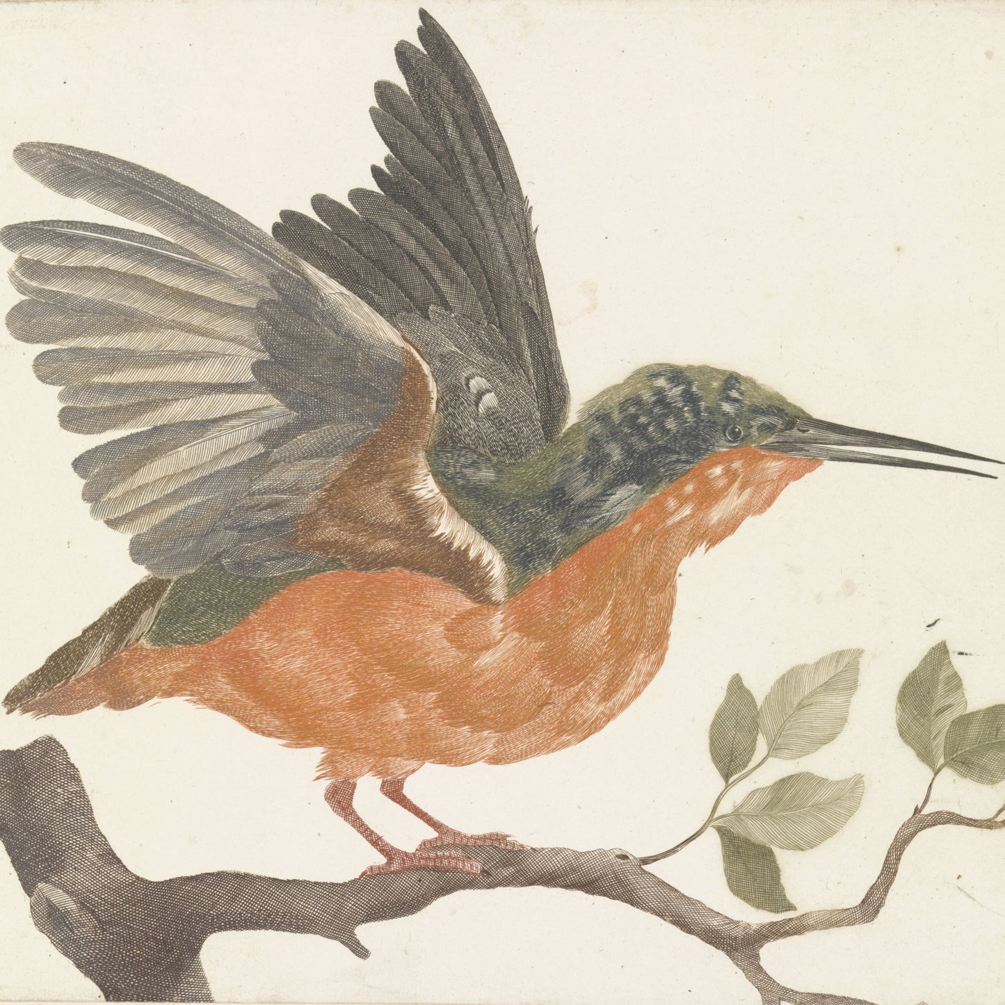 Songbird on a Branch