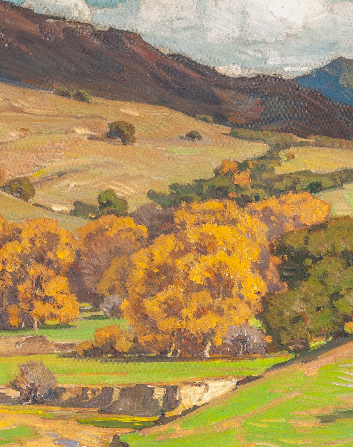 California Landscape