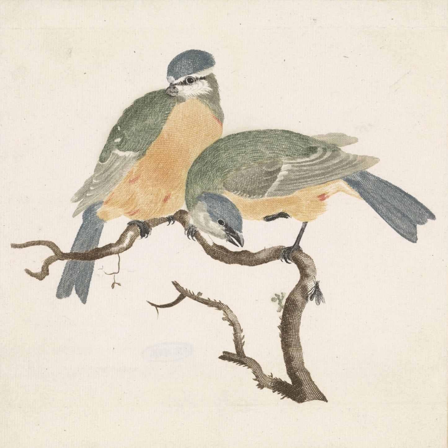 Blue Songbirds on a Branch